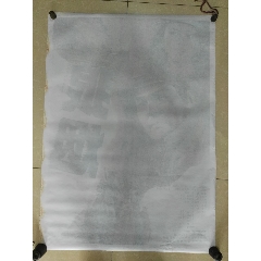 制作乔治亚州身份证